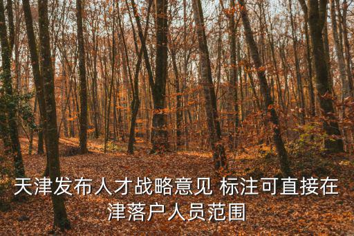天津發布人才戰略意見 標注可直接在津落戶人員范圍