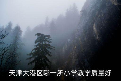 天津大港區(qū)哪一所小學教學質量好
