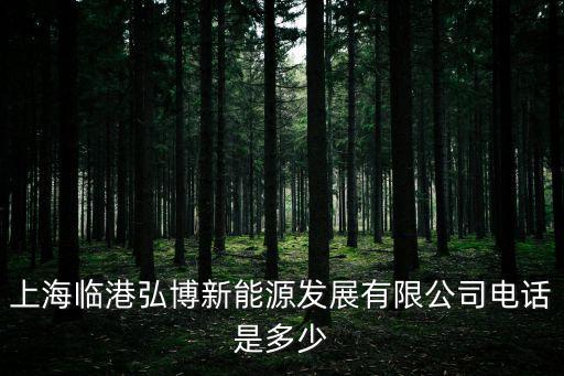 上海臨港弘博新能源發(fā)展有限公司電話是多少