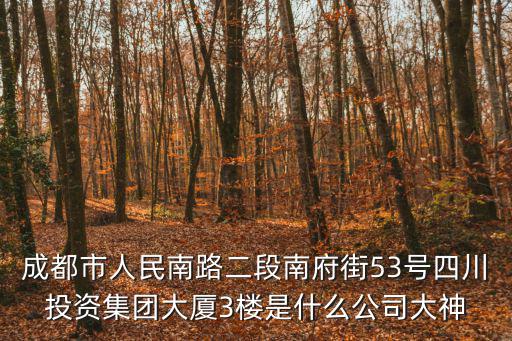 成都市人民南路二段南府街53號四川投資集團大廈3樓是什么公司大神