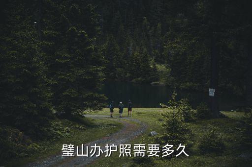 璧山辦護照需要多久
