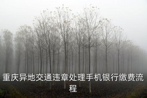 重慶異地交通違章處理手機(jī)銀行繳費(fèi)流程