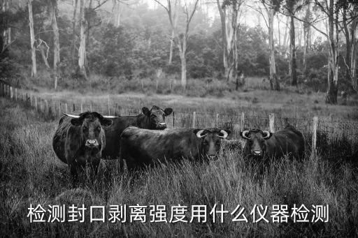 檢測封口剝離強(qiáng)度用什么儀器檢測