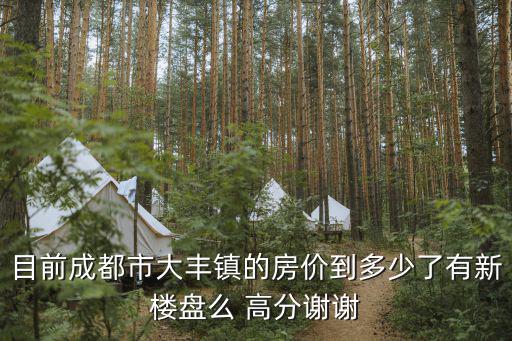 成都市大豐鎮(zhèn)在建樓盤(pán)，目前成都市大豐鎮(zhèn)的房?jī)r(jià)到多少了有新樓盤(pán)么 高分謝謝