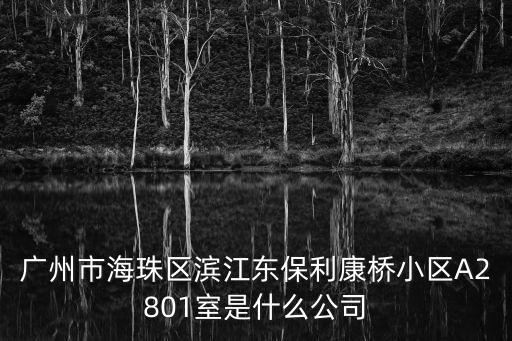 廣州市海珠區濱江東保利康橋小區A2801室是什么公司