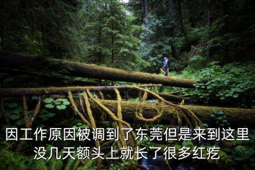 東莞出現肺炎最新情況，我在東莞醫院檢查是肺炎檢了藥回來吃多了現在非常不舒服請問