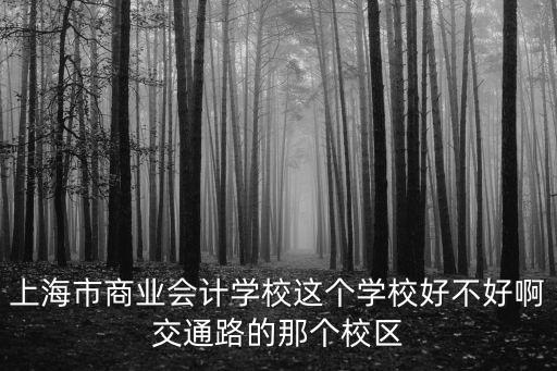 上海市商業(yè)會計(jì)學(xué)校這個學(xué)校好不好啊交通路的那個校區(qū)