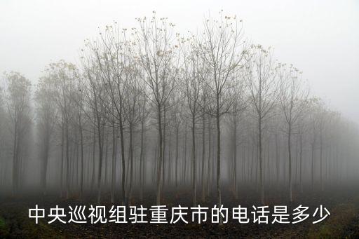 重慶市人民檢察院巡視組 渝中區，重慶市委巡視組地址