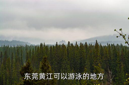 東莞黃江可以游泳的地方