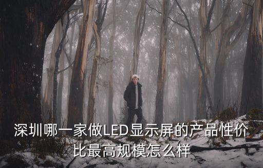 深圳哪一家做LED顯示屏的產品性價比最高規模怎么樣