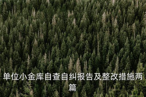單位小金庫自查自糾報告及整改措施兩篇