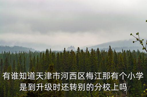 有誰知道天津市河西區梅江那有個小學是到升級時還轉別的分校上嗎