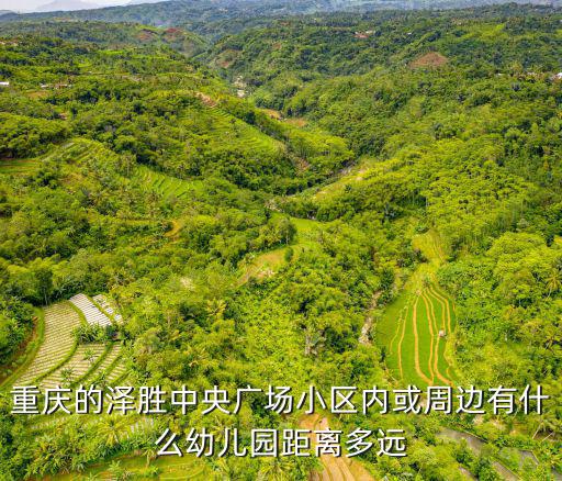 重慶的澤勝中央廣場小區內或周邊有什么幼兒園距離多遠