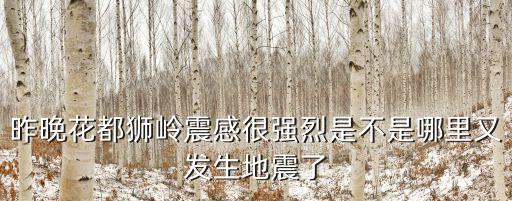 昨晚花都獅嶺震感很強烈是不是哪里又發生地震了