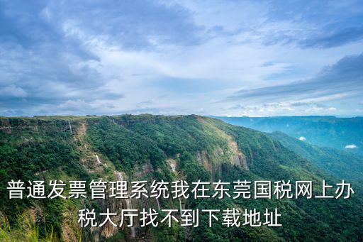 普通發票管理系統我在東莞國稅網上辦稅大廳找不到下載地址