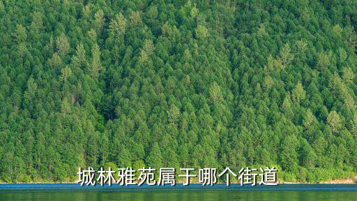 城林雅苑屬于哪個(gè)街道