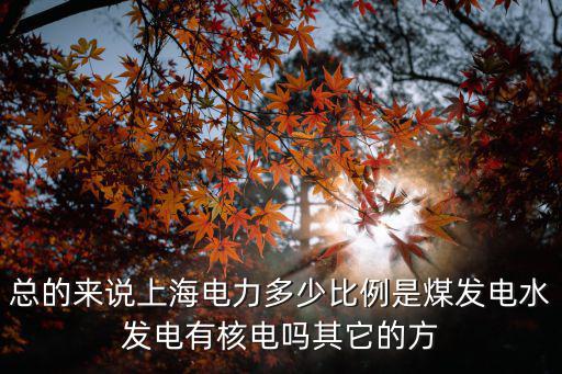 上海市煤炭發電情況，總的來說上海電力多少比例是煤發電水發電有核電嗎其它的方