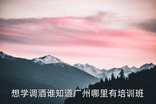 想學調酒誰知道廣州哪里有培訓班