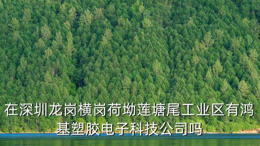在深圳龍崗橫崗荷坳蓮塘尾工業區有鴻基塑膠電子科技公司嗎
