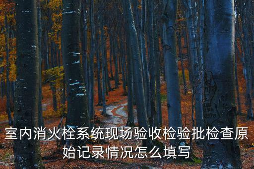 室內(nèi)消火栓系統(tǒng)現(xiàn)場(chǎng)驗(yàn)收檢驗(yàn)批檢查原始記錄情況怎么填寫(xiě)