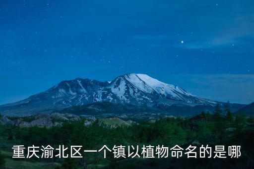 重慶市渝北茨竹鎮景點，放牛坪上有小河溝嘛