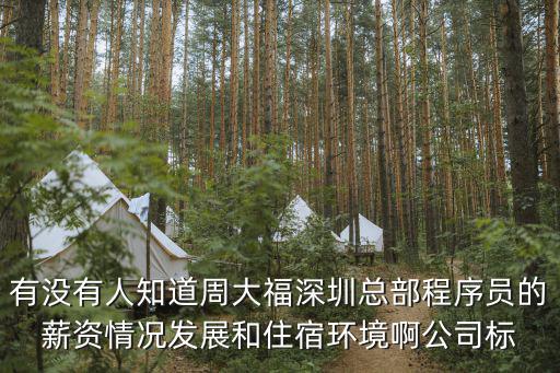有沒有人知道周大福深圳總部程序員的薪資情況發展和住宿環境啊公司標