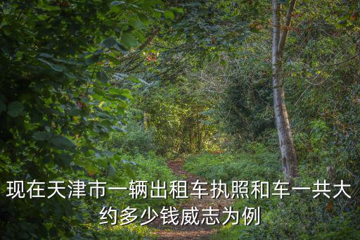 現在天津市一輛出租車執照和車一共大約多少錢威志為例