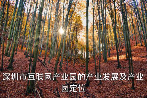 深圳市互聯網產業園的產業發展及產業園定位