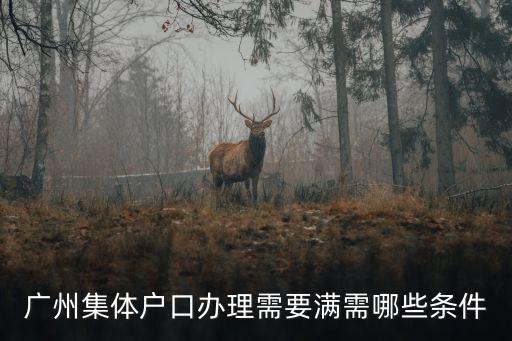 廣州集體戶口辦理需要滿需哪些條件