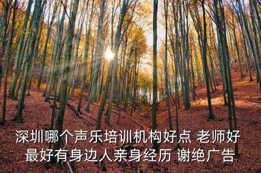 深圳市美聲星，深圳哪個聲樂培訓的機構比較好價格合理