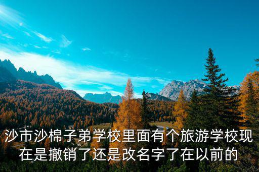 沙市沙棉子弟學校里面有個旅游學校現在是撤銷了還是改名字了在以前的