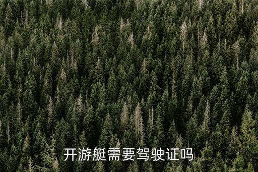 開游艇需要駕駛證嗎