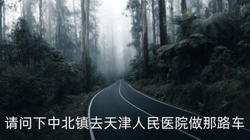 請問下中北鎮(zhèn)去天津人民醫(yī)院做那路車
