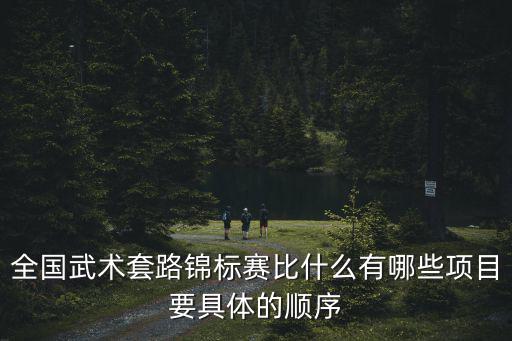 2018年天津市武術套路錦標賽，全國武術套路錦標賽比什么有哪些項目要具體的順序