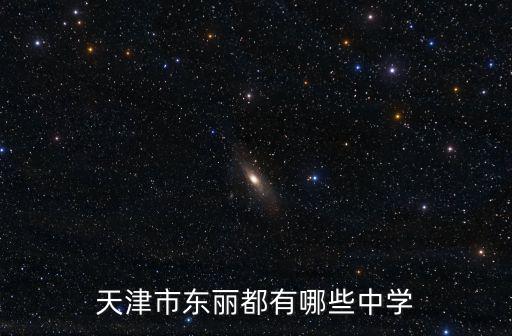 天津市東麗都有哪些中學(xué)