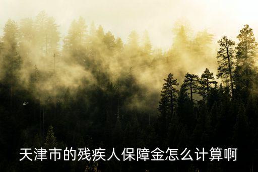 天津市殘保金基數(shù)，天津市的殘疾人保障金怎么計算啊