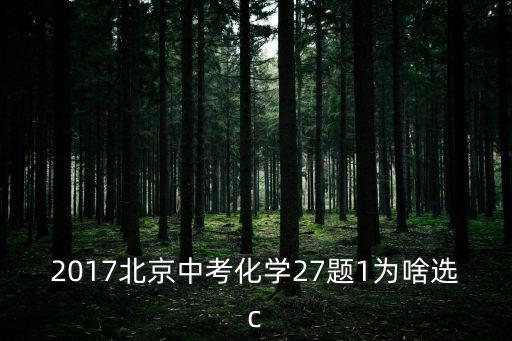 2017北京中考化學(xué)27題1為啥選c