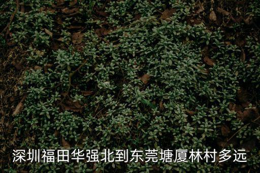 東莞林村到深圳福田自駕，深圳福田華強北到東莞塘廈林村多遠