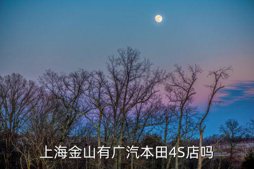 上海金山有廣汽本田4S店嗎