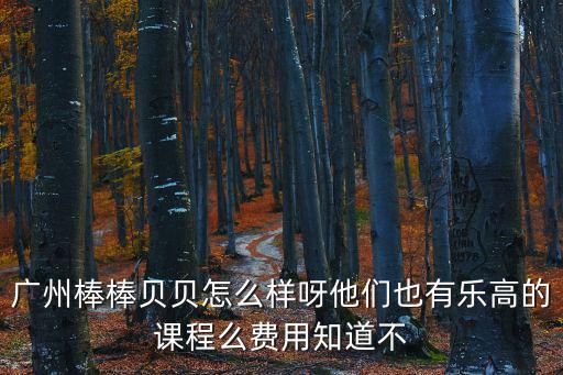 廣州棒棒貝貝怎么樣呀他們也有樂高的課程么費用知道不
