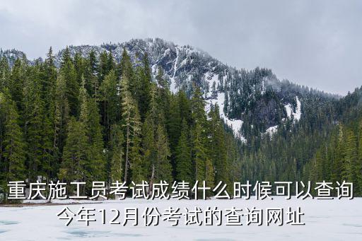 重慶施工員考試成績什么時候可以查詢今年12月份考試的查詢網址