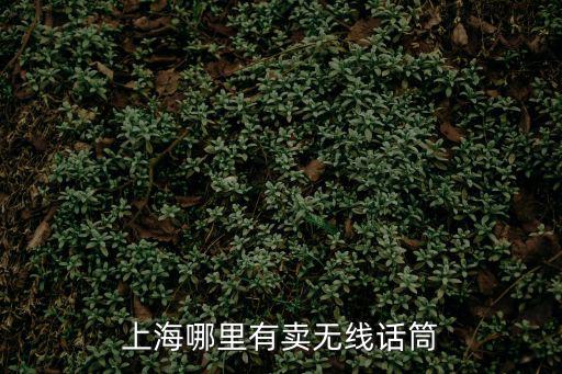 上海哪里有賣無線話筒