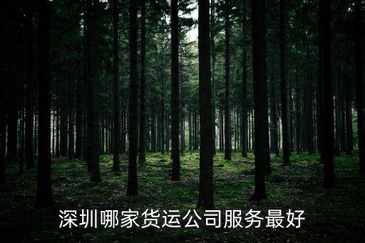 深圳鑫永來國際貨運代理有限公司，請問深圳DHL代理電話是多少哪家代理比較好