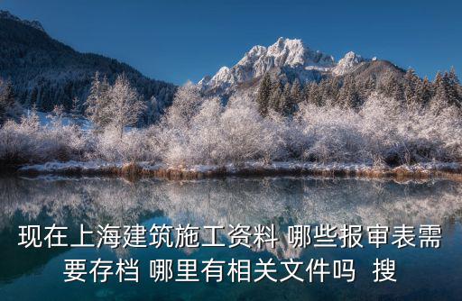 現(xiàn)在上海建筑施工資料 哪些報審表需要存檔 哪里有相關(guān)文件嗎  搜