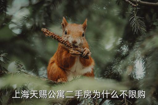 上海天賜公寓二手房為什么不限購