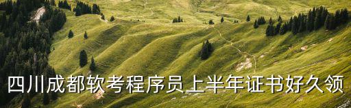 四川成都軟考程序員上半年證書好久領