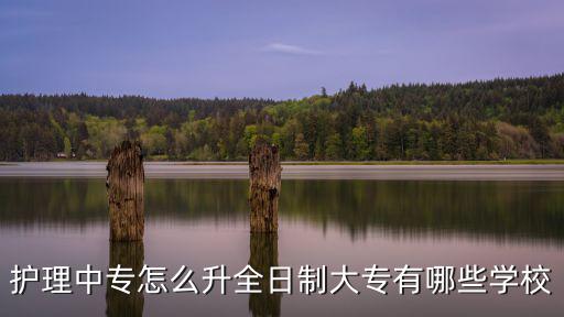 護理中專怎么升全日制大專有哪些學校