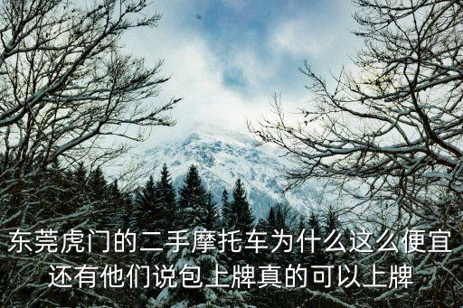 東莞虎門的二手摩托車為什么這么便宜還有他們說包上牌真的可以上牌