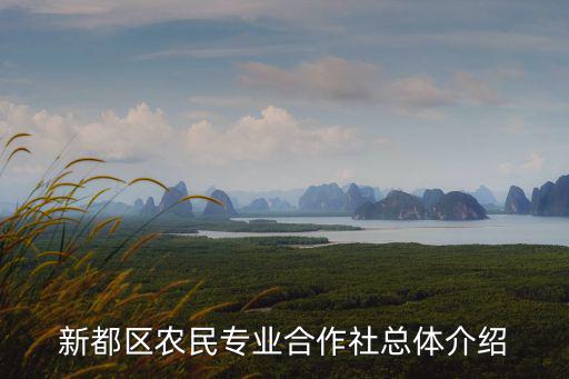 新都區(qū)農(nóng)民專(zhuān)業(yè)合作社總體介紹