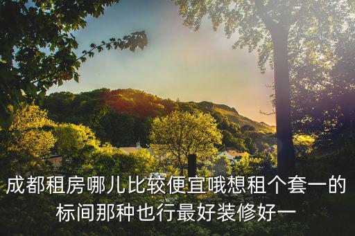 成都市天府廣場 租房，成都租房問題